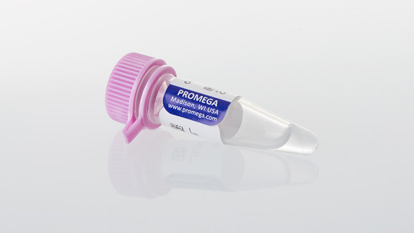 Control Ab, Anti-SIRPalpha