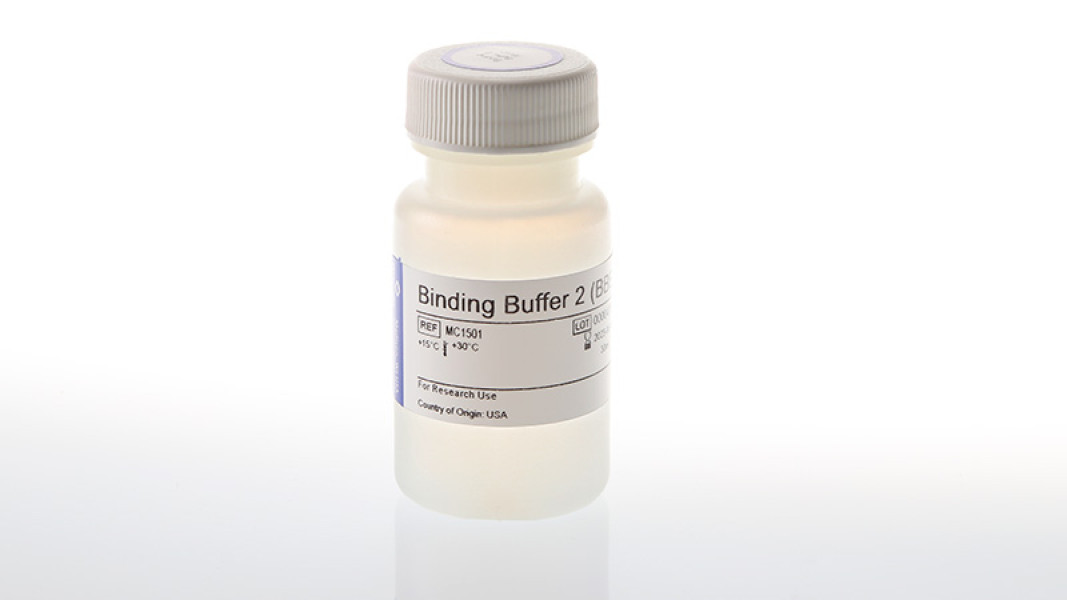 Binding Buffer 2 (BBE)