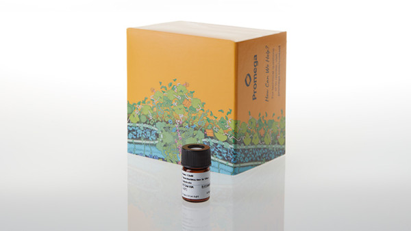 Nano-Glo Fluorofurimazine InVivo Substrate