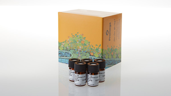 Nano-Glo Fluorofurimazine InVivo Substrate