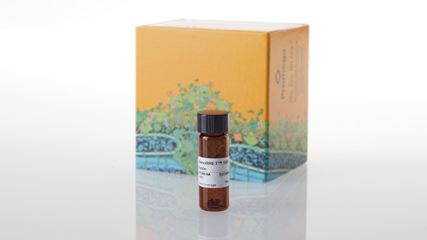 NanoBRET 590 C3 Azide