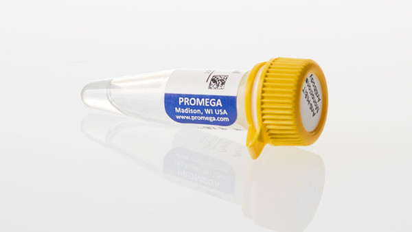 Anti-HiBiT Monoclonal Antibody