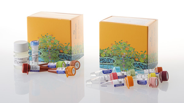 NanoBRET(TM) TE CDK Selectivity System A