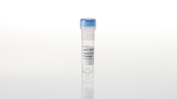 LgBiT-KRAS(G12R) Fusion Vector