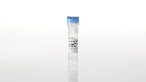 LgBiT-KRAS(G13D) Fusion Vector