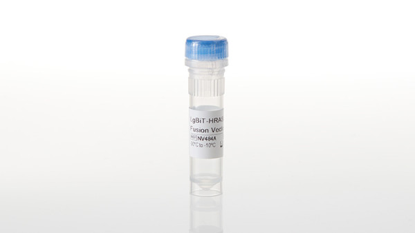 LgBiT-HRAS(G12V) Fusion Vector