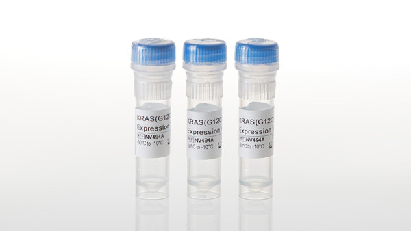 KRAS(G12C) Expression Vector