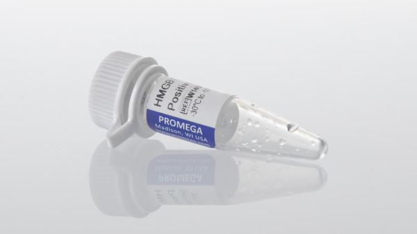 HMGB1 (Human) Positive Control