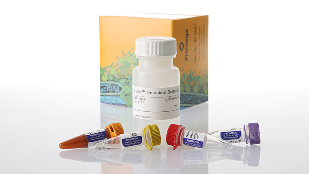 Lumit IL-6 (Human) Immunoassay