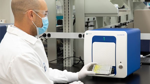 scientist-holding-microplate-at-lab-bench.jpg