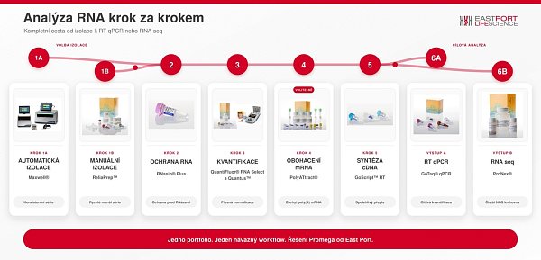 Analýza RNA krok za krokem: od izolace přes RT qPCR až po RNA seq